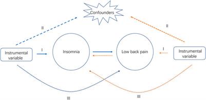 Association of insomnia and daytime sleepiness with low back pain: A bidirectional mendelian randomization analysis